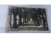 Καρτ-ποστάλ Shumen Θέα από το Kioshove 1940