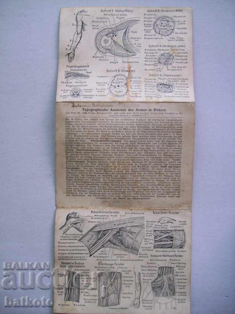 Broșură medicală germană veche cu preț € 1.10 | 2.15 BGN