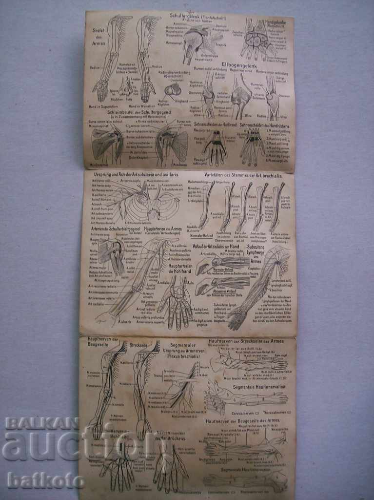 Old German medical brochure