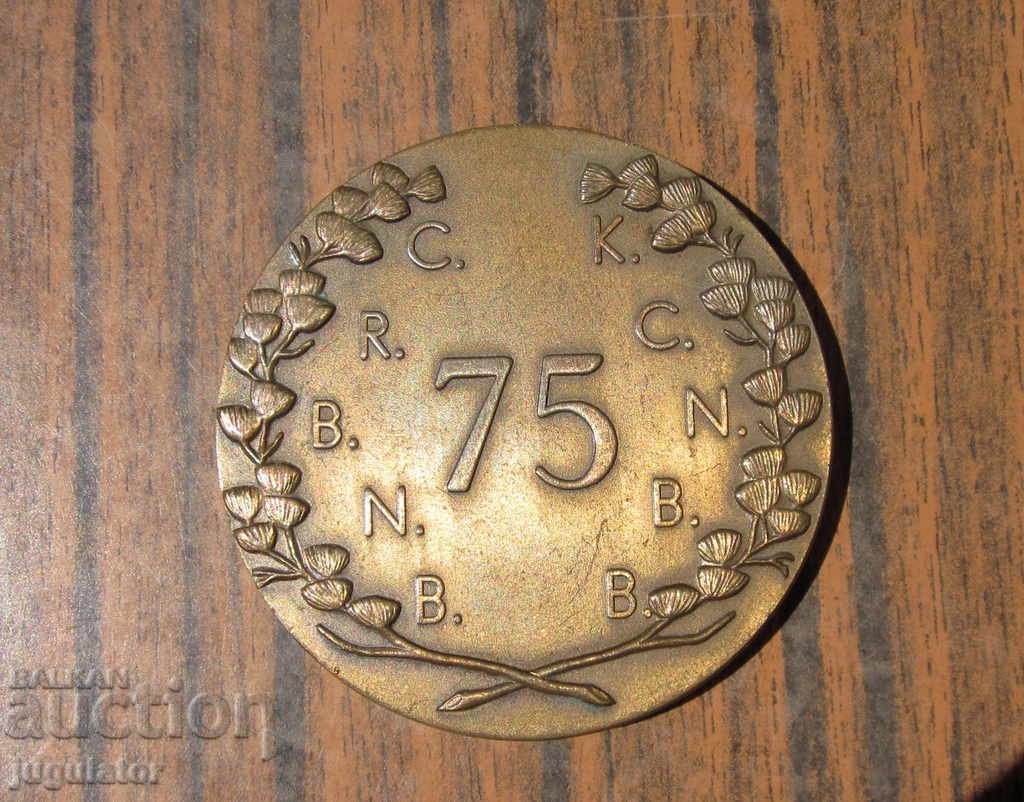 Auction  old medical bronze medal plaque sign