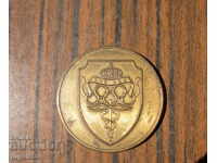 old medical bronze medal plaque sign