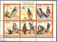 Чисти марки малък лист Птици Папагали 2009 Коморски острови