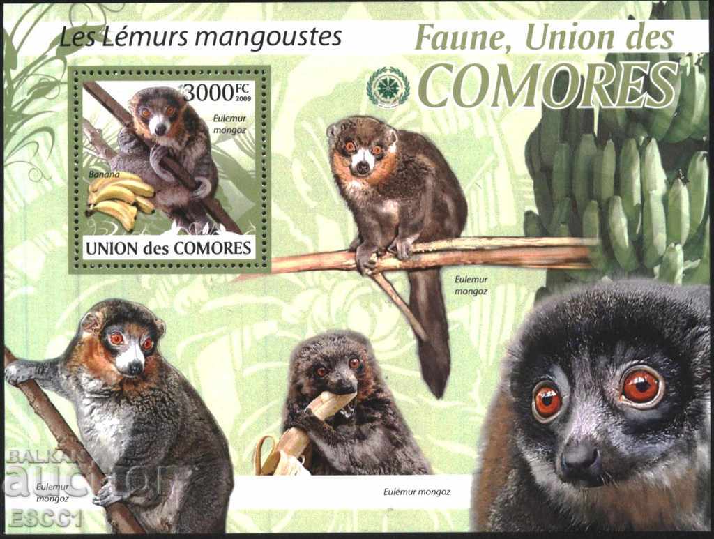 Καθαρή Πανίδα Λεμούρια 2009 από τις Κομόρες