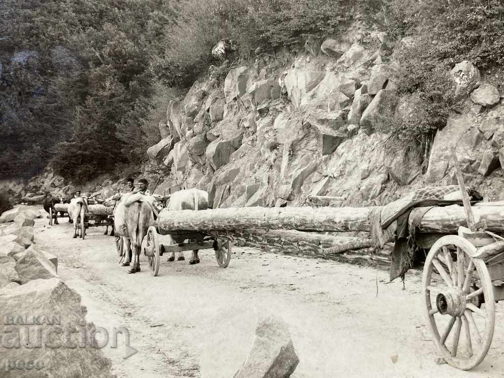 Sliding timber along the Rhodope roads old photo with price 35.00 BGN | € 17.90