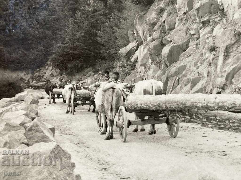 Auction  Sliding timber along the Rhodope roads old photo
