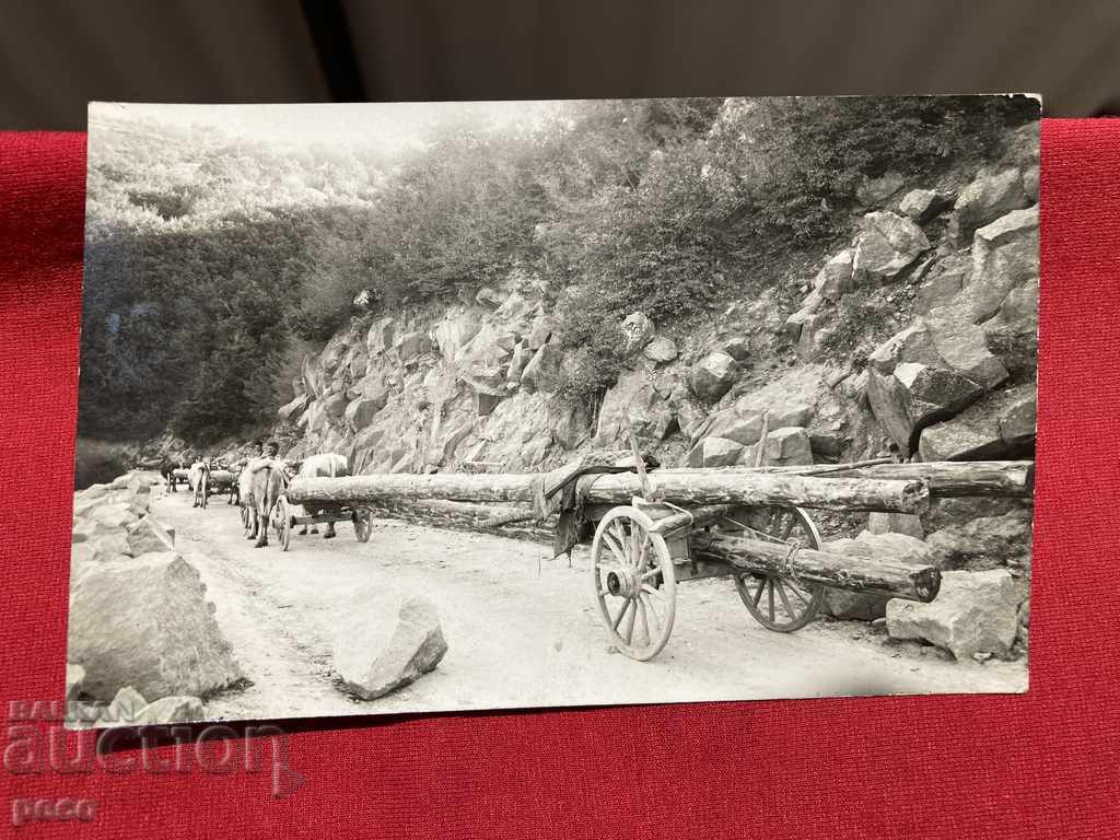Sliding timber along the Rhodope roads old photo - 5