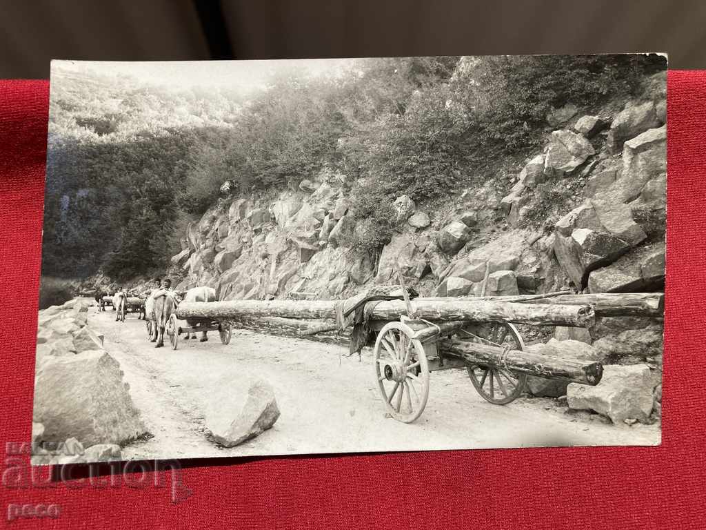 Sliding timber along the Rhodope roads old photo - 6