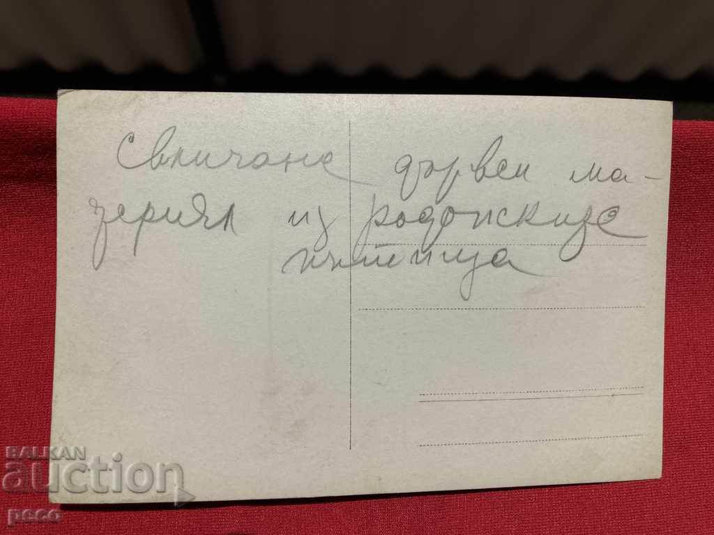 Sliding timber along the Rhodope roads old photo - 7