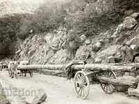 Sliding timber along the Rhodope roads old photo