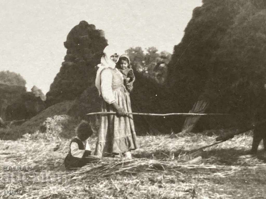 Harman village of Bani /Banya/ Karlovsko with price 35.00 BGN | € 17.90