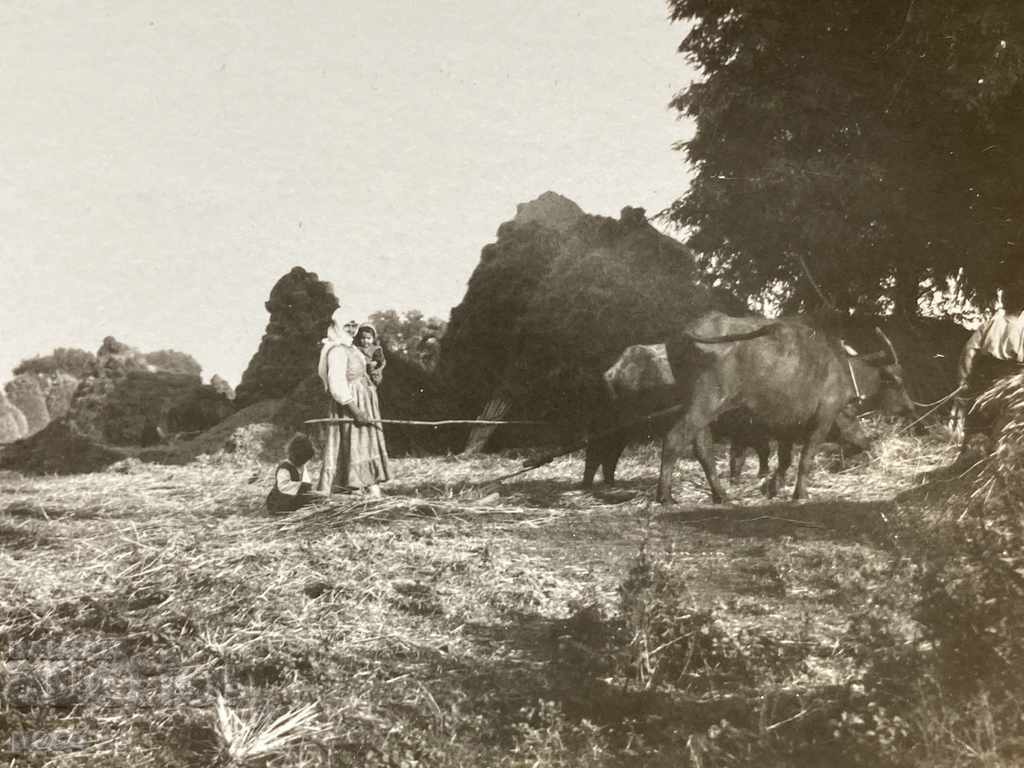 Auction  Harman village of Bani /Banya/ Karlovsko