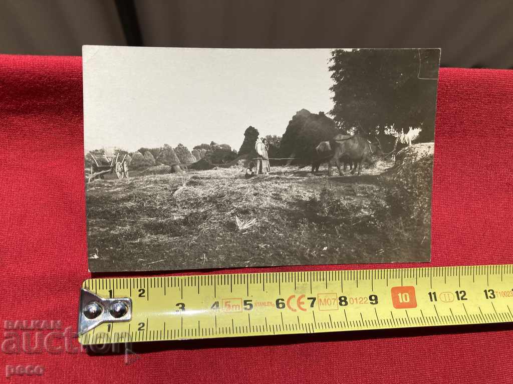 Harman village of Bani /Banya/ Karlovsko - 5