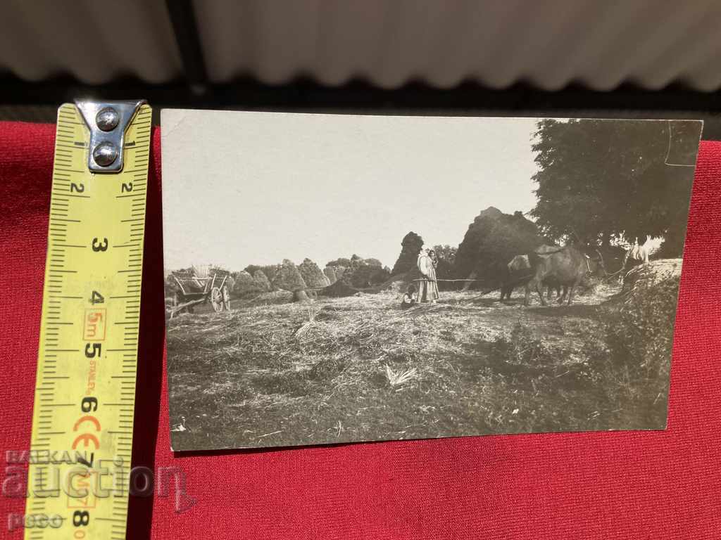 Harman village of Bani /Banya/ Karlovsko - 6