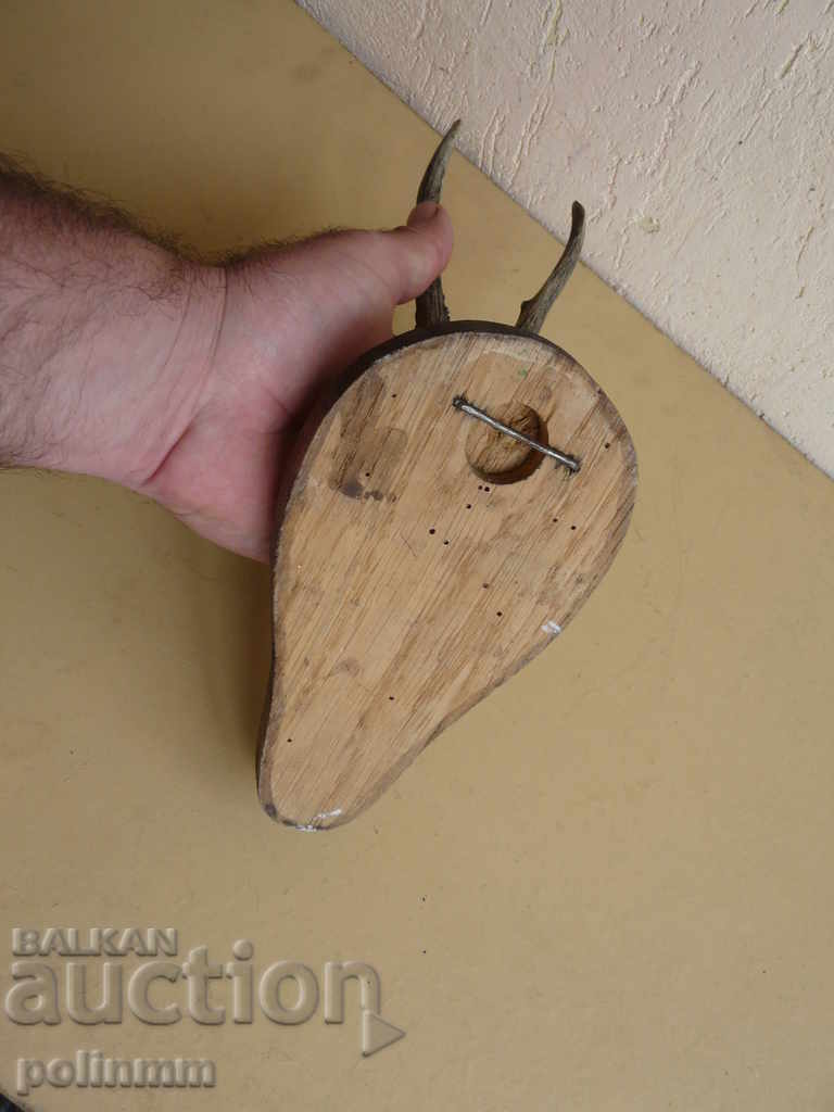 Delivery of Small German trophy - 3