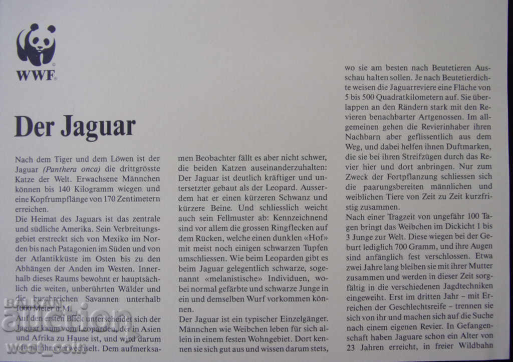 Белиз  NUMISBRIEFE  Ягуар  1986  PROOF  UNC - 5