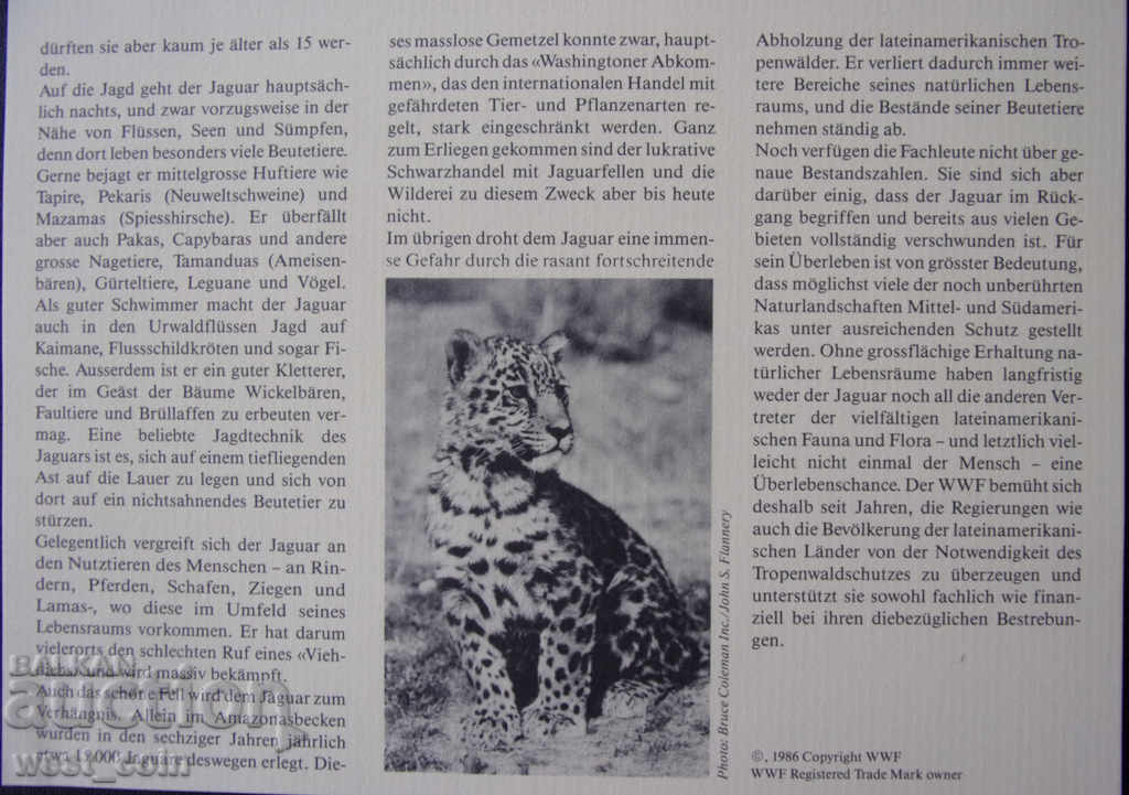 Белиз  NUMISBRIEFE  Ягуар  1986  PROOF  UNC - 6