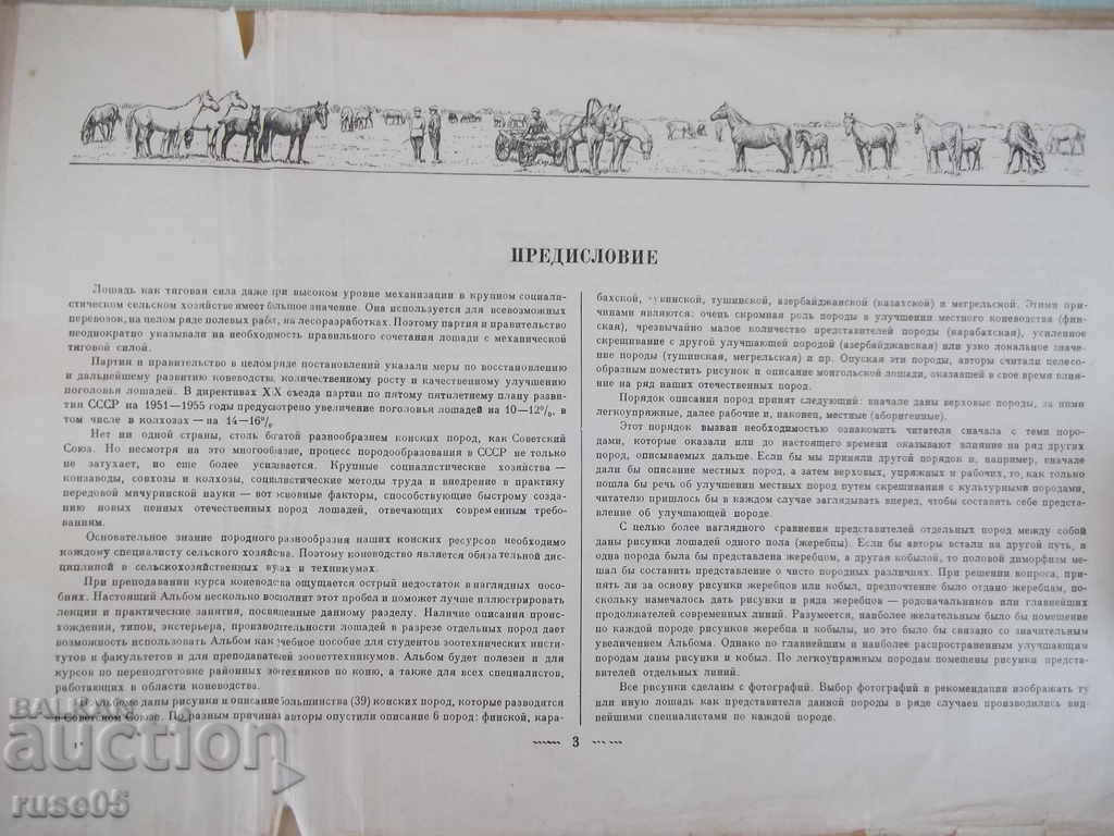 Auction The book "Album of breeds of horses of the USSR - SV Afanasyev" - 186 pages. Auction The book "Album of breeds of horses of the USSR - SV Afanasyev" - 186 pages.