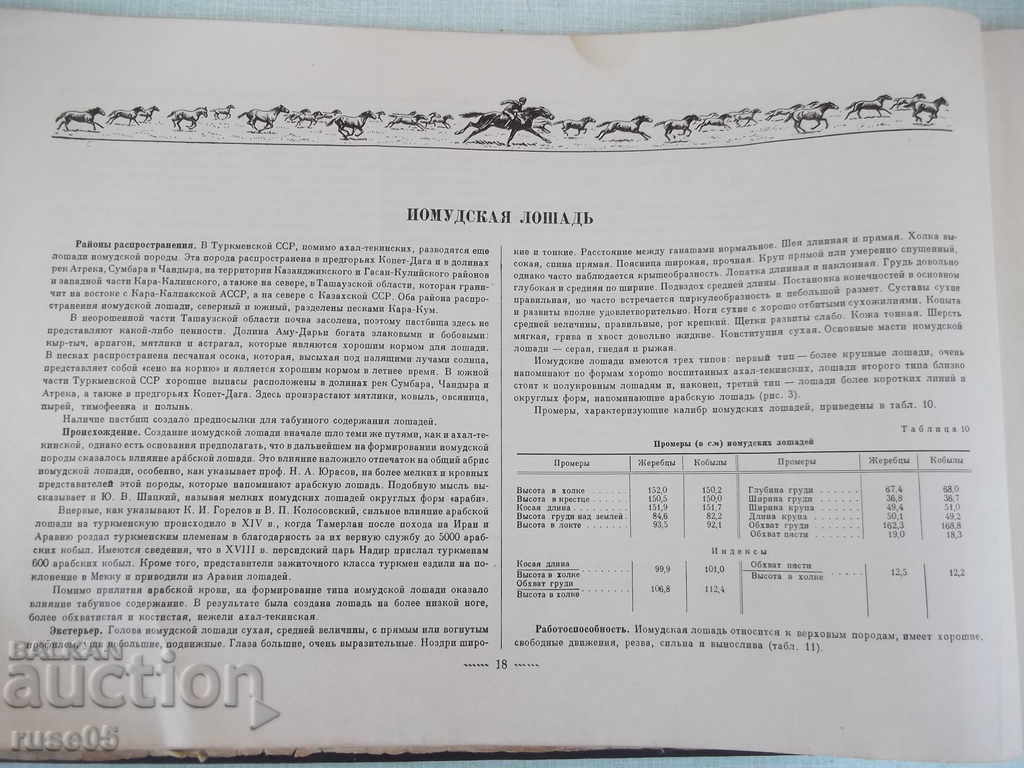 Delivery of The book "Album of breeds of horses of the USSR - SV Afanasyev" - 186 pages. Delivery of The book "Album of breeds of horses of the USSR - SV Afanasyev" - 186 pages.