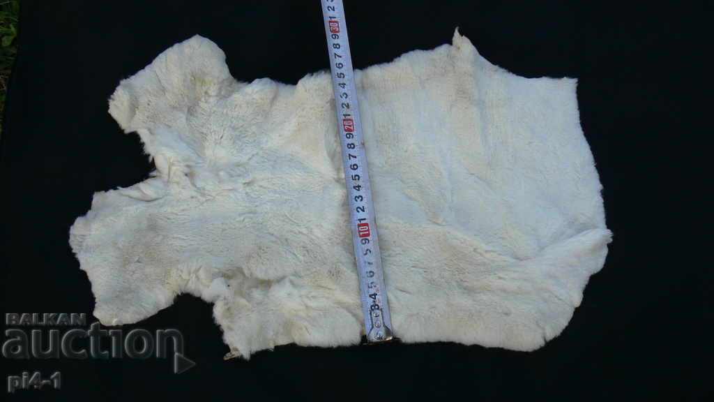 КОЖА ОТ ПОЛЯРЕН ЗАЕК с цена 120.00 лв. | € 61.36 КОЖА ОТ ПОЛЯРЕН ЗАЕК с цена 120.00 лв. | € 61.36