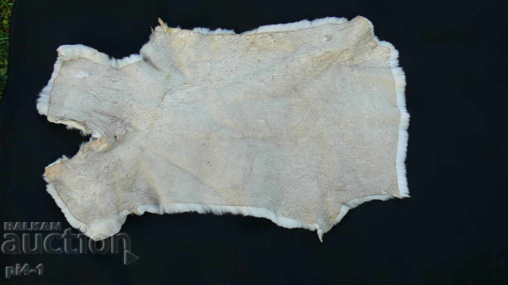 Аукцион КОЖА ОТ ПОЛЯРЕН ЗАЕК Аукцион КОЖА ОТ ПОЛЯРЕН ЗАЕК