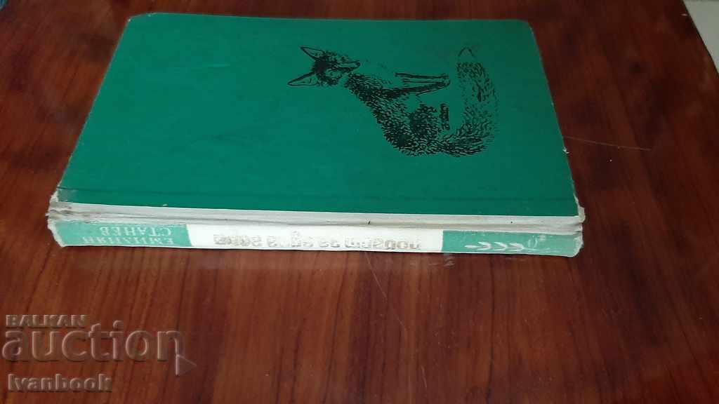 Emilian Stanev - A Tale of a Forest with price 2.00 BGN | € 1.02 Emilian Stanev - A Tale of a Forest with price 2.00 BGN | € 1.02