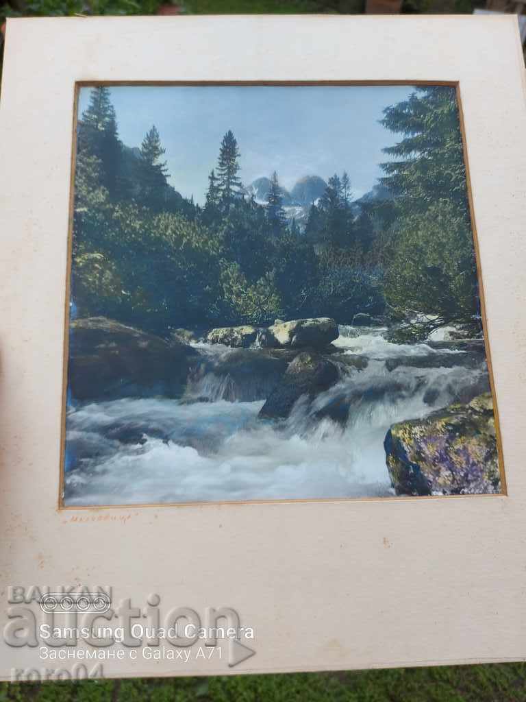 МАЛЬОВИЦА с цена 30.60 лв. | € 15.65 МАЛЬОВИЦА с цена 30.60 лв. | € 15.65