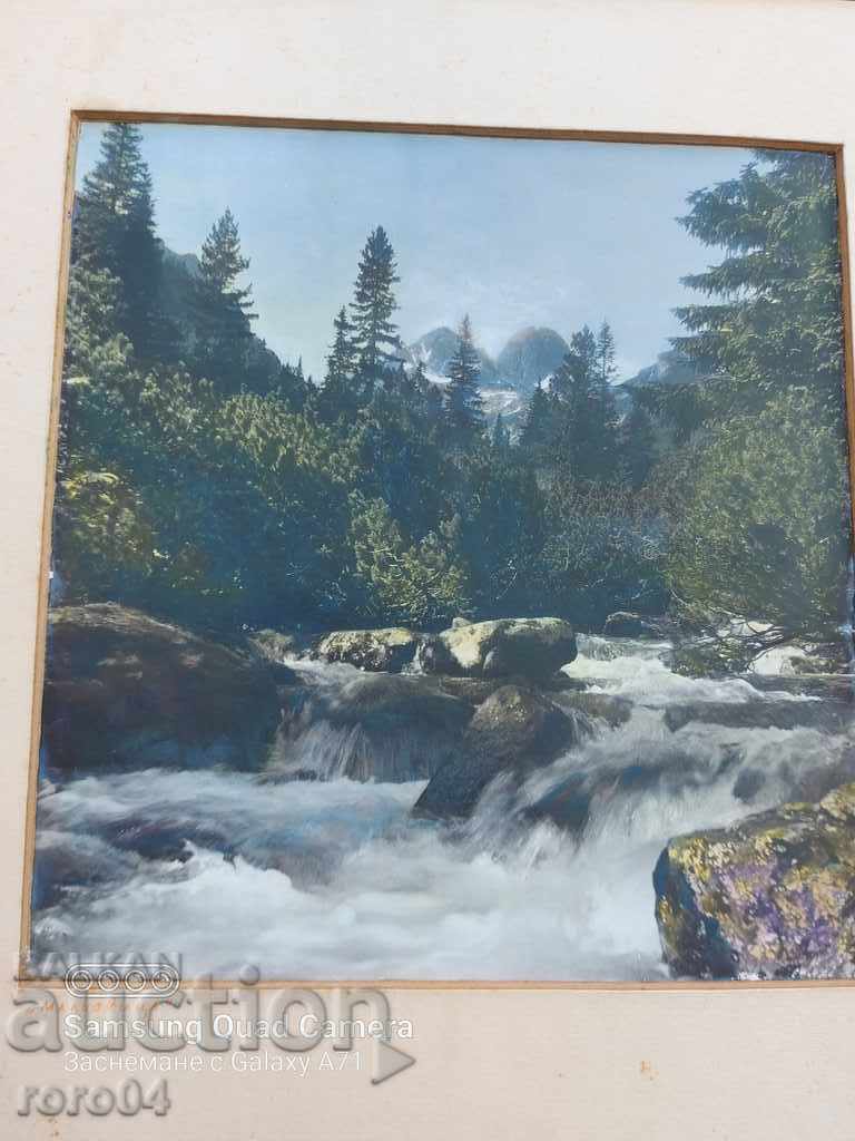 Аукцион МАЛЬОВИЦА Аукцион МАЛЬОВИЦА