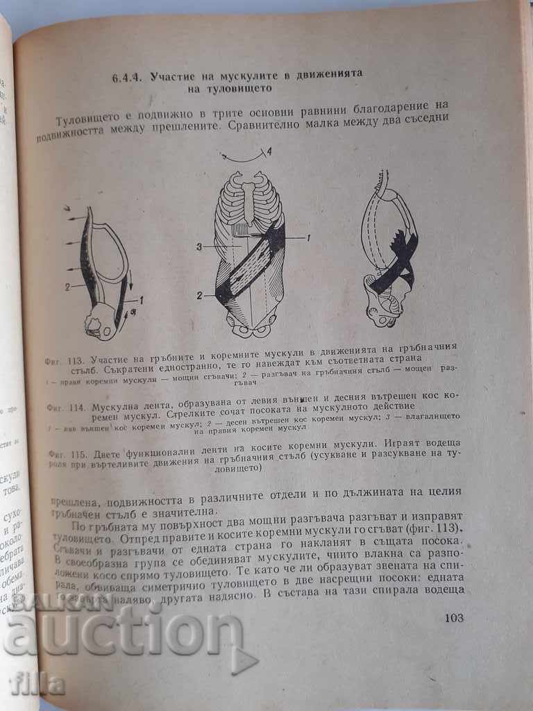Anatomy for middle gymnastics staff with price 6.50 BGN | € 3.32 Anatomy for middle gymnastics staff with price 6.50 BGN | € 3.32