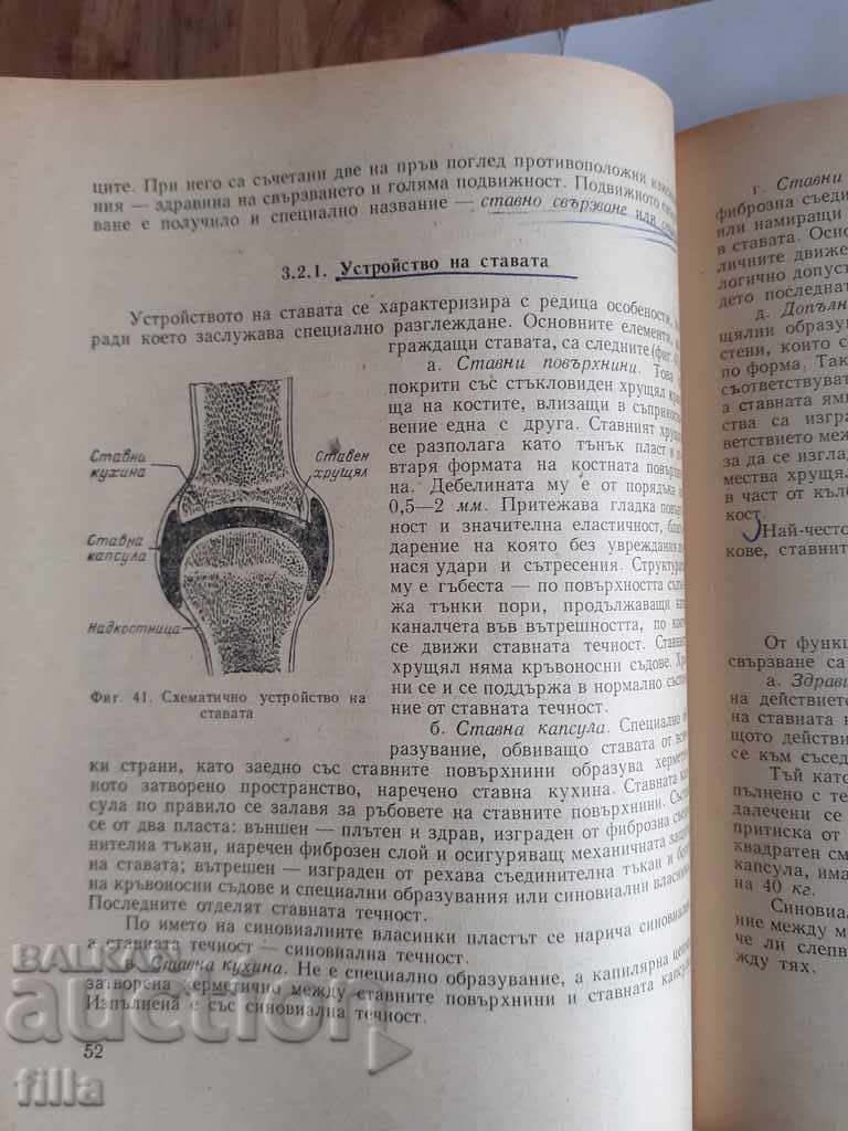Delivery of Anatomy for middle gymnastics staff Delivery of Anatomy for middle gymnastics staff