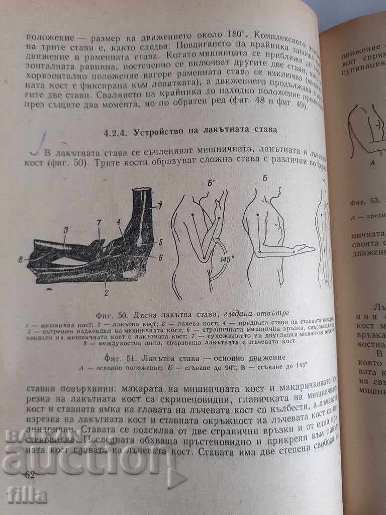 Anatomy for middle gymnastics staff - 6 Anatomy for middle gymnastics staff - 6