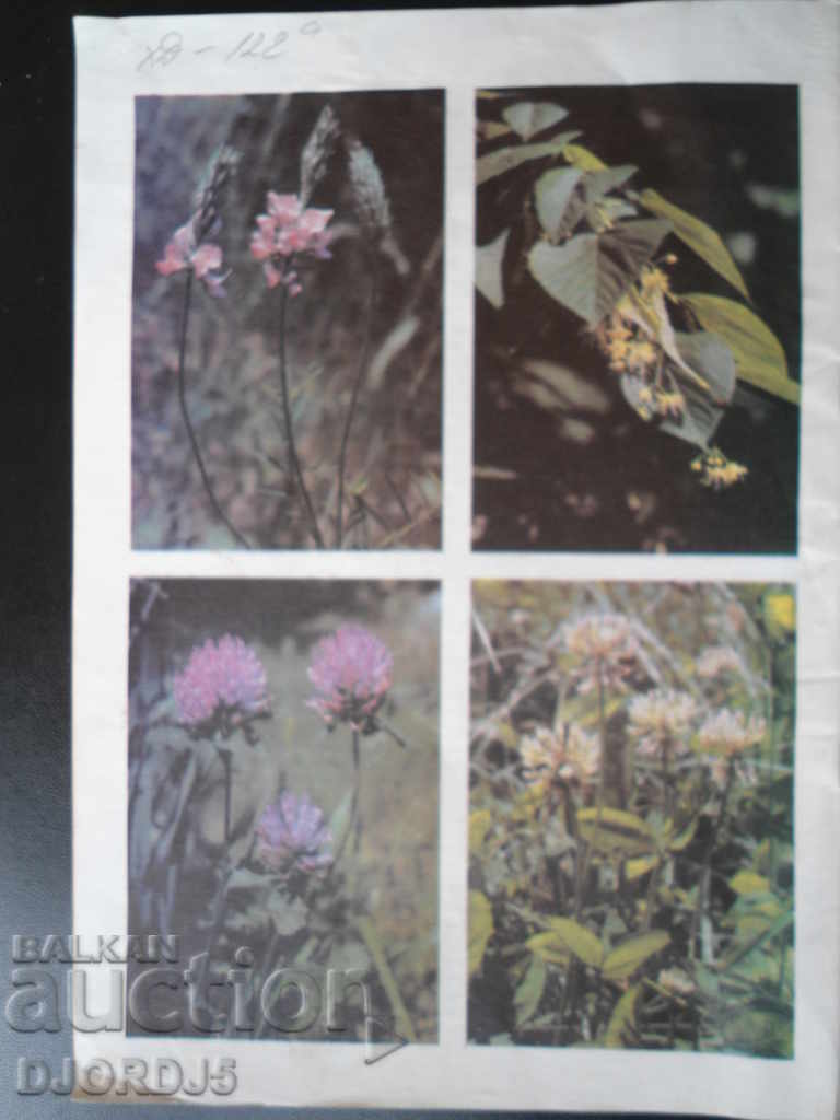 Beekeeping Magazine, issues 4 and 8, 1992 - 5 Beekeeping Magazine, issues 4 and 8, 1992 - 5