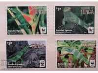 Тонга - защитена фауна, игуана