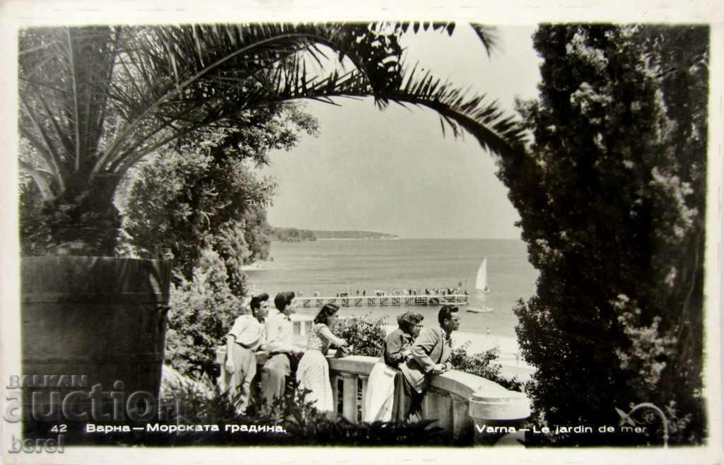 OLD POSTCARD-VARNA-SEA GARDEN-1960 with price 4.00 BGN | € 2.05 OLD POSTCARD-VARNA-SEA GARDEN-1960 with price 4.00 BGN | € 2.05