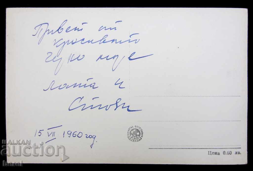 Auction OLD POSTCARD-VARNA-SEA GARDEN-1960 Auction OLD POSTCARD-VARNA-SEA GARDEN-1960