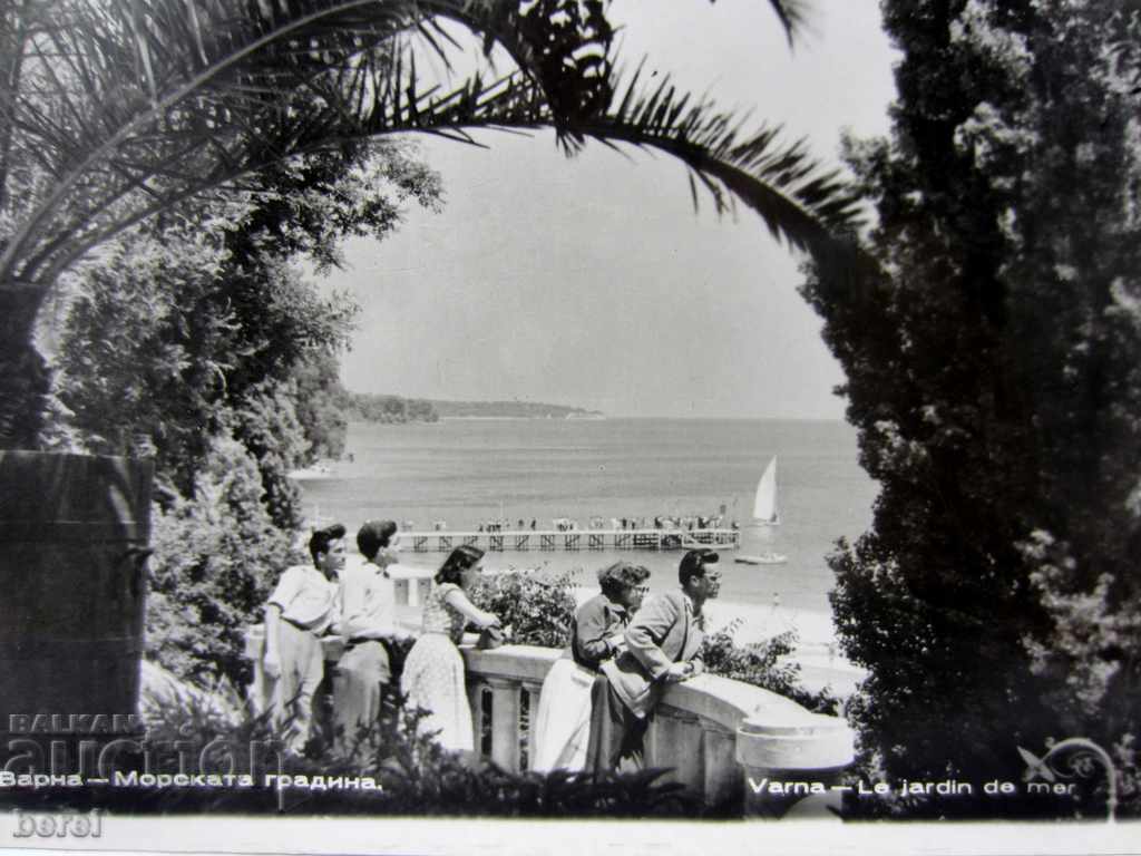 Delivery of OLD POSTCARD-VARNA-SEA GARDEN-1960 Delivery of OLD POSTCARD-VARNA-SEA GARDEN-1960