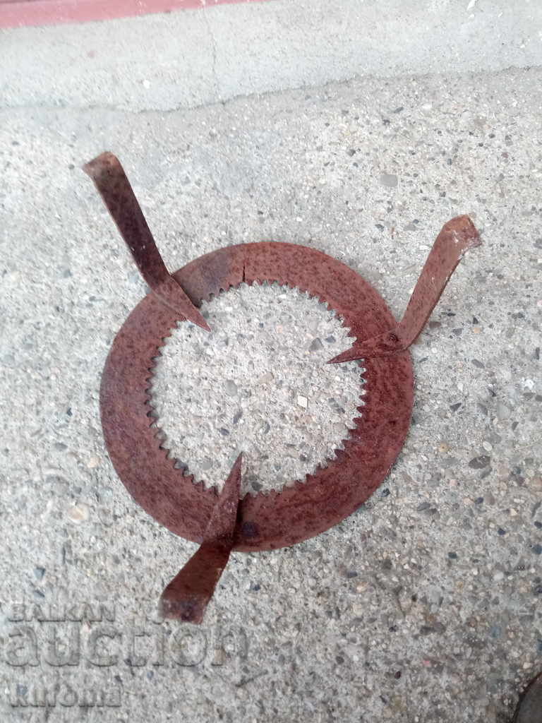 Delivery of An old little firecracker