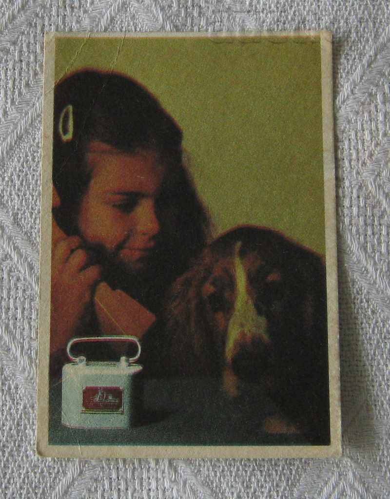 DOG CHILD CASE CALENDAR 1989