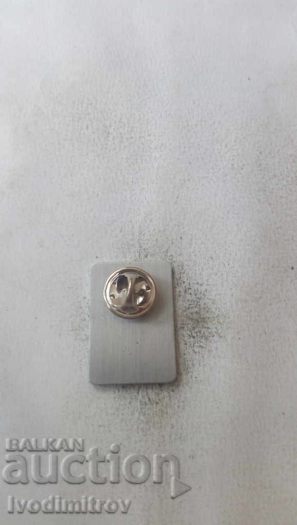 Insigna UEGW Stockholm 2011 cu preț 1.65 BGN | € 0.84