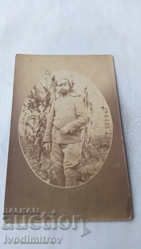 Photo Soldier in corn First World War