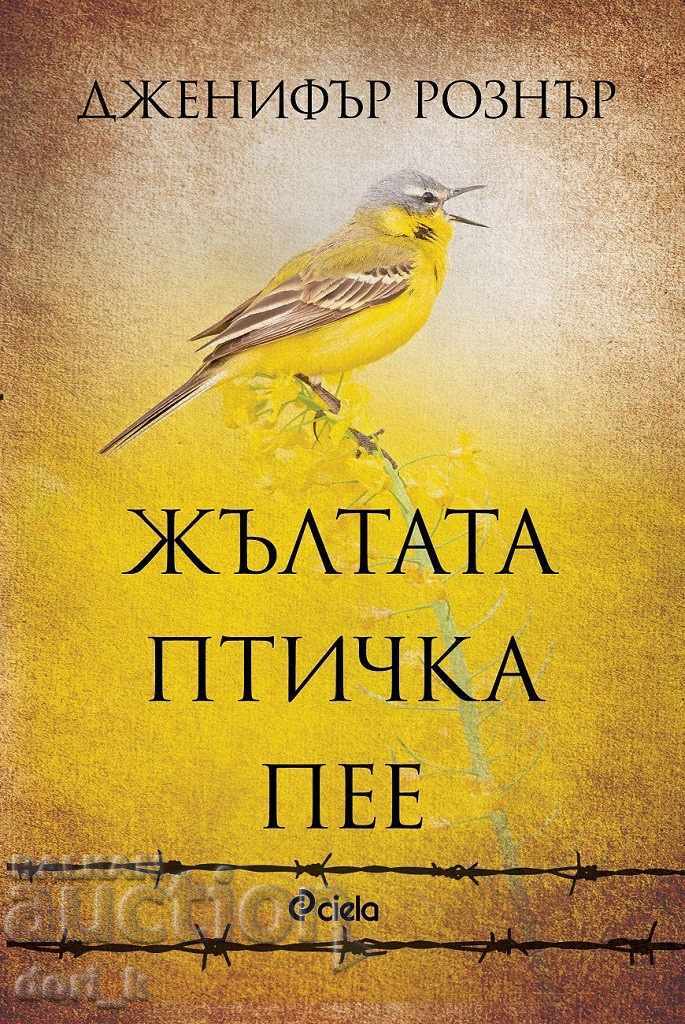 The yellow bird sings