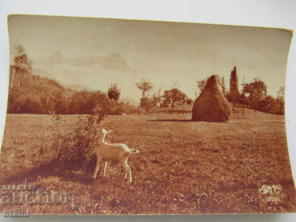 Old greeting postcard from 1927 with price 6.00 BGN | € 3.07 Old greeting postcard from 1927 with price 6.00 BGN | € 3.07