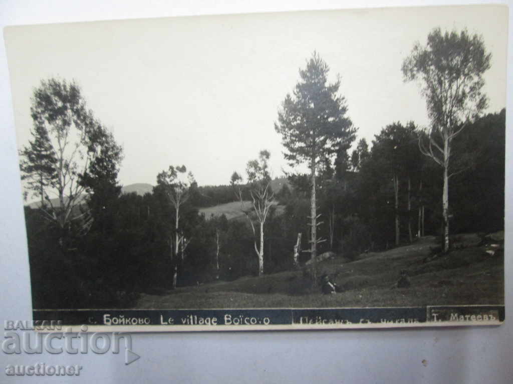 Livrarea PEISAJ DE LA SATUL BOYKOVO Livrarea PEISAJ DE LA SATUL BOYKOVO