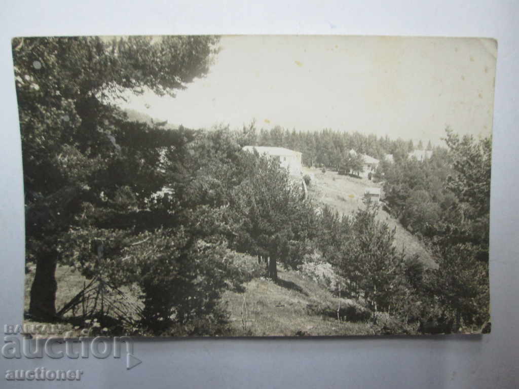 BOYKOVO GENERAL APPEARANCE with price 15.00 BGN | € 7.67 BOYKOVO GENERAL APPEARANCE with price 15.00 BGN | € 7.67