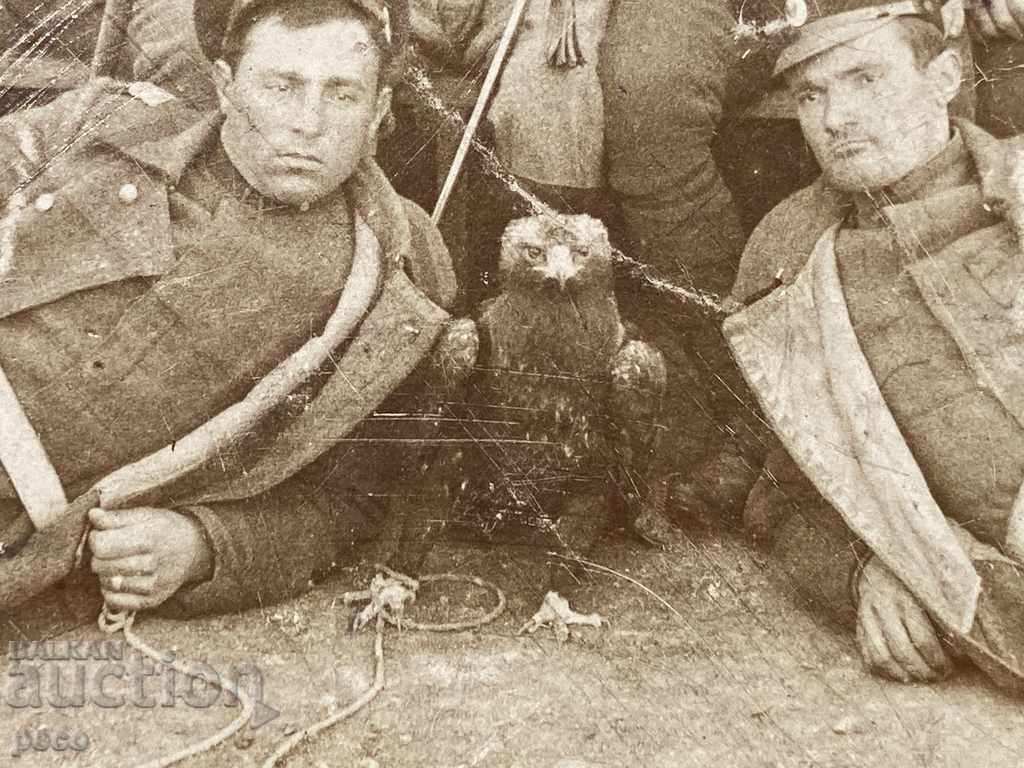 „Vechiul Regiment Falcon” Prima Vechi Lumea Foto