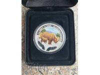 1 ounce Silver 999 + CERTIFICATE, color