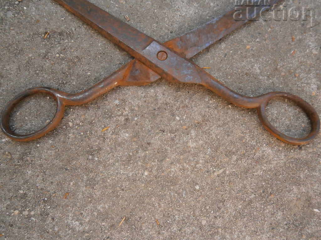old scissors - 5 old scissors - 5