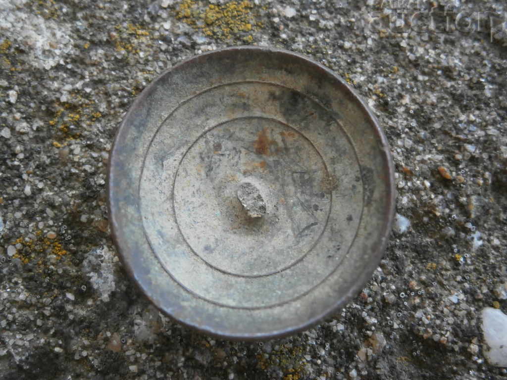 Delivery of button officer kingdom BULGARIA LION lion