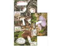 4 cards MAX Mushrooms