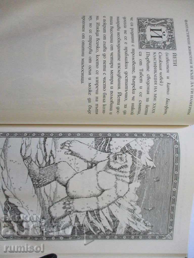 Auction Fantastic animals and where to find them - Joan K. Rowling Auction Fantastic animals and where to find them - Joan K. Rowling