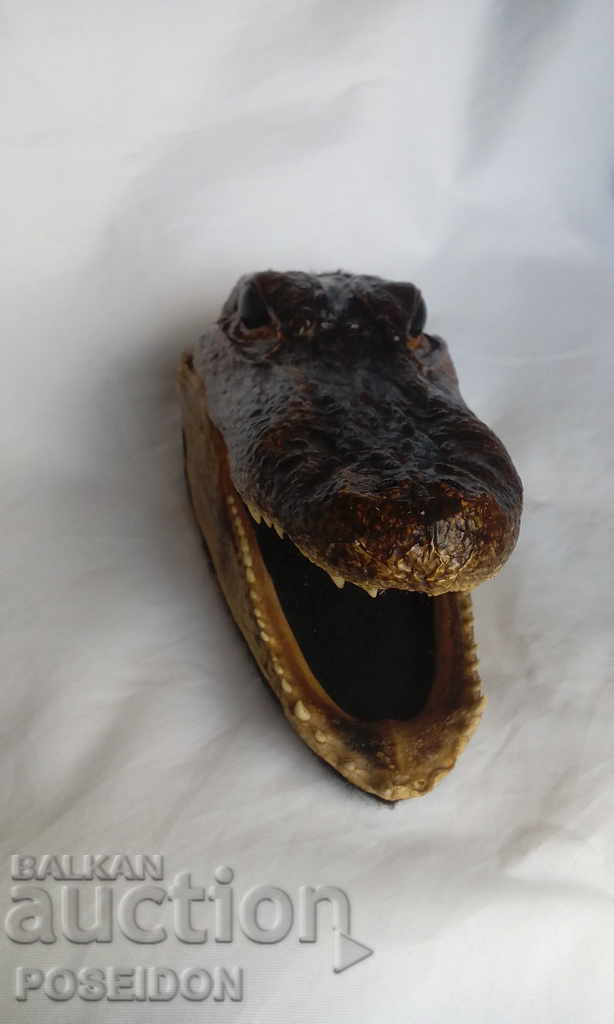 Παράδοση ΑΝΑΜΝΗΤΙΚΟ ΑΓΑΛΜΑΤΟ Φιγούρα ΚΡΟΚΟΔΙΛΟΥ ΚΕΦΑΛΗΣ Παράδοση ΑΝΑΜΝΗΤΙΚΟ ΑΓΑΛΜΑΤΟ Φιγούρα ΚΡΟΚΟΔΙΛΟΥ ΚΕΦΑΛΗΣ